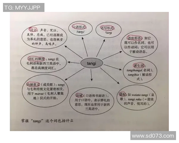 如何用英语表达踢足球这一运动的正确说法和相关词汇解析